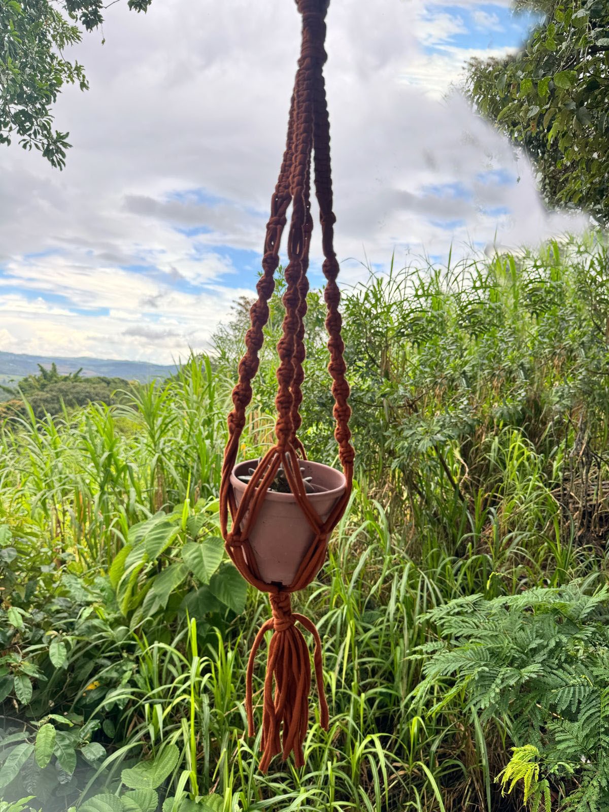 Macramê Malha Um Vaso Terracota